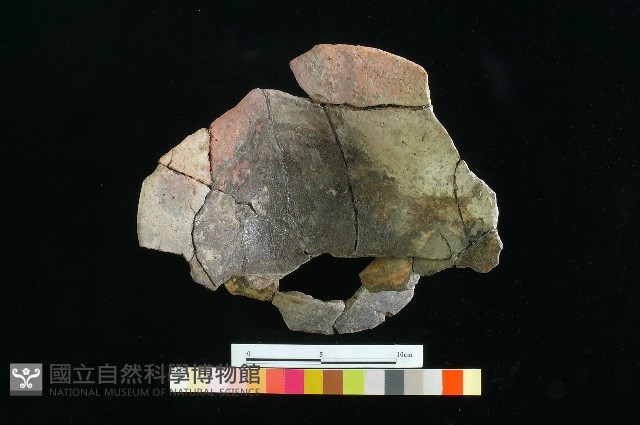 豆形器藏品圖，第13張