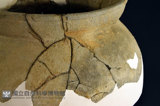 陶罐藏品圖，第7張