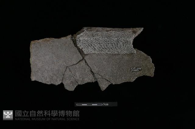 陶缸藏品圖，第3張