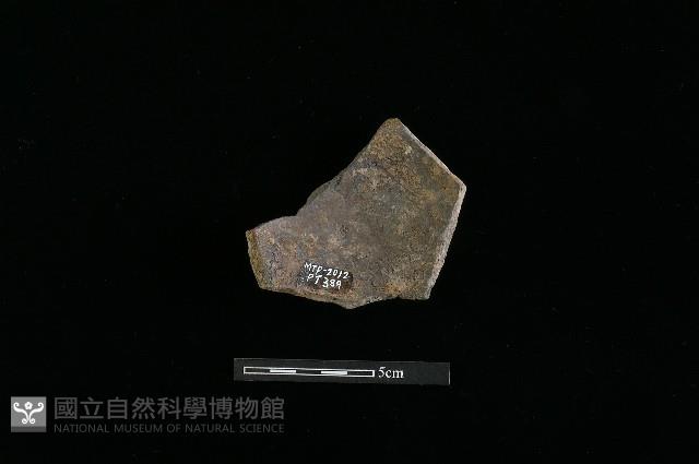 陶片藏品圖，第2張