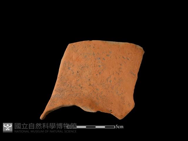 連杯形器藏品圖，第2張