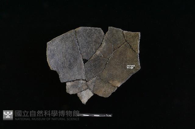 陶片藏品圖，第1張