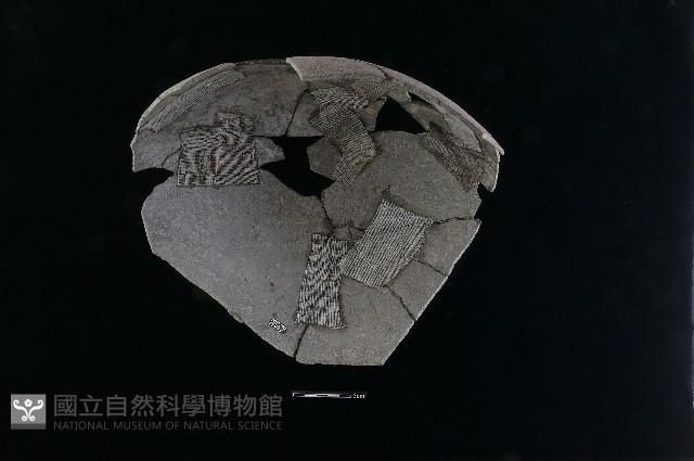 陶片藏品圖，第1張