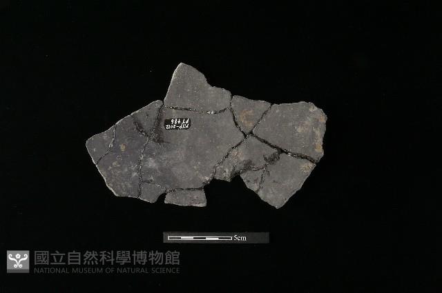 陶片藏品圖，第1張