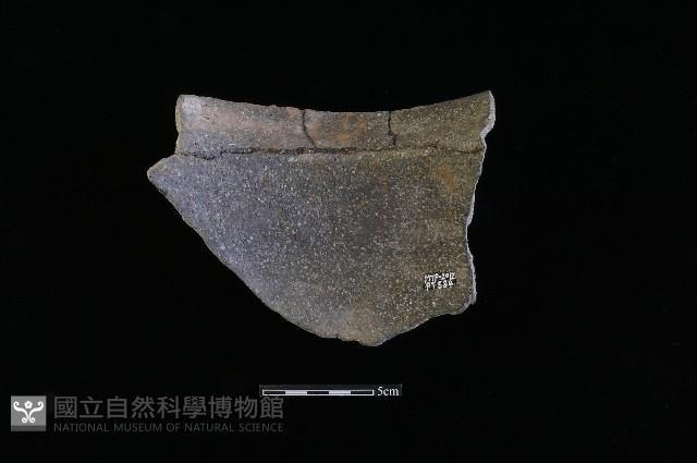 陶片藏品圖，第2張