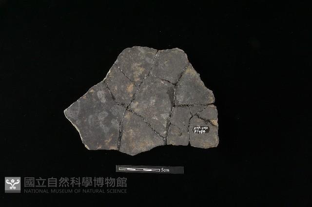 陶片藏品圖，第2張