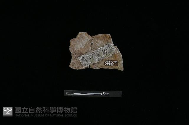 陶片藏品圖，第1張