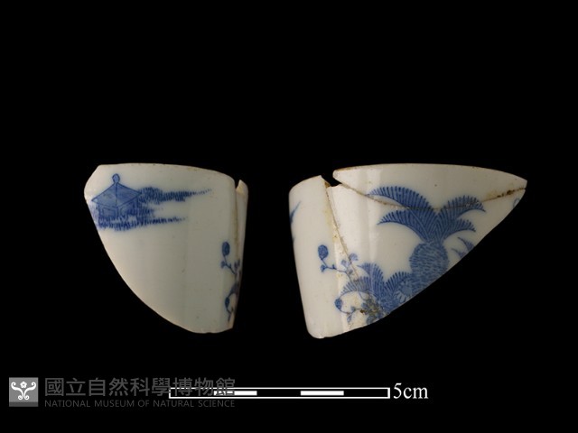 瓷杯藏品圖，第2張