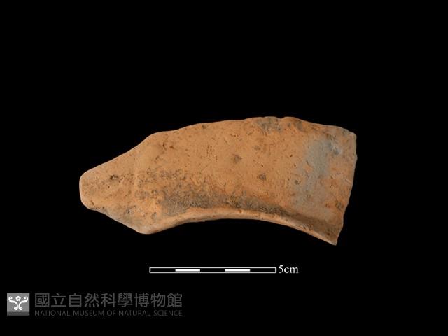 連杯形器藏品圖，第1張