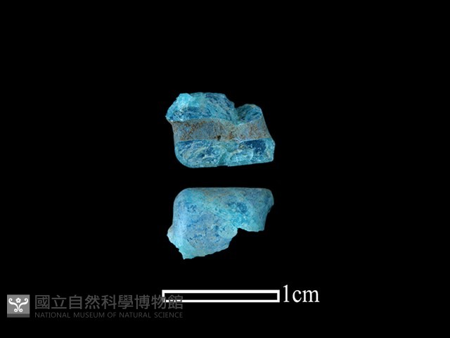 珠子藏品圖，第1張