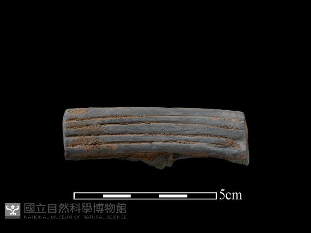 陶片藏品圖，第1張