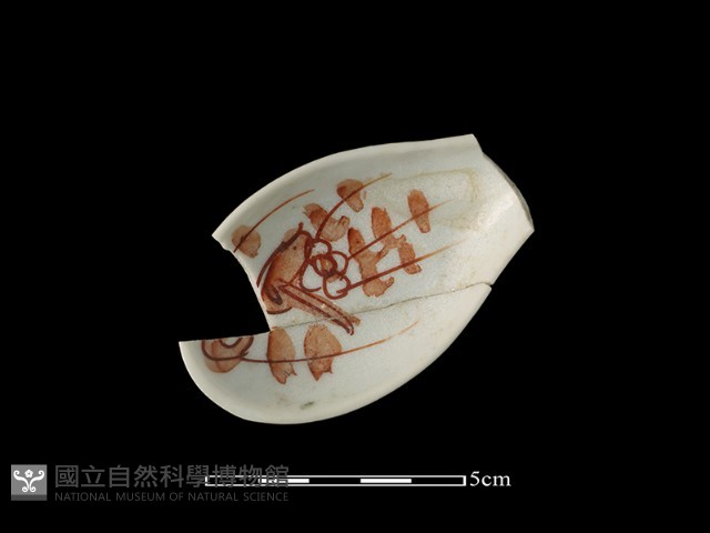 湯匙藏品圖，第1張