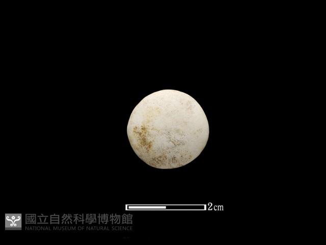 圍棋藏品圖，第1張