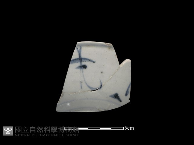 瓷片藏品圖，第1張