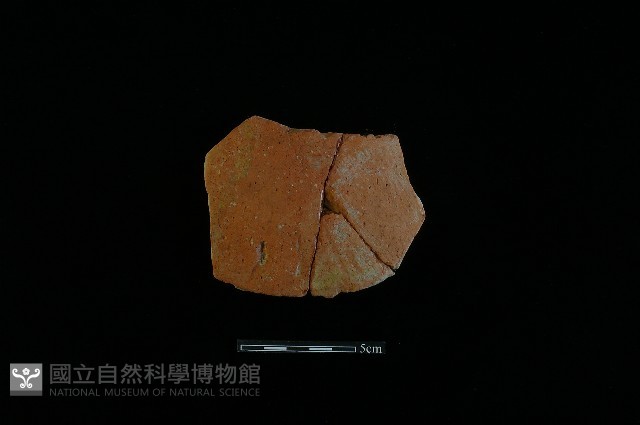 陶片藏品圖，第2張