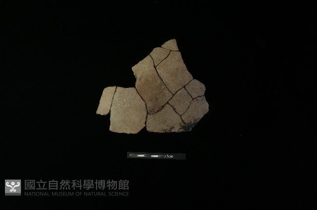 陶片藏品圖，第2張