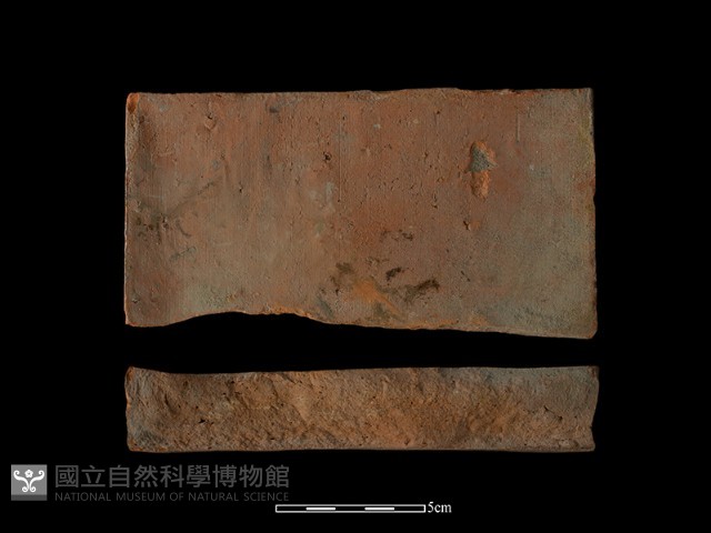 磚藏品圖，第1張