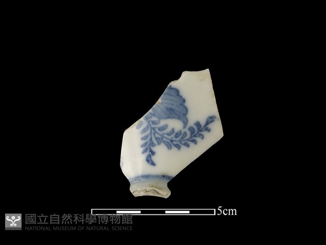 瓷片藏品圖，第1張