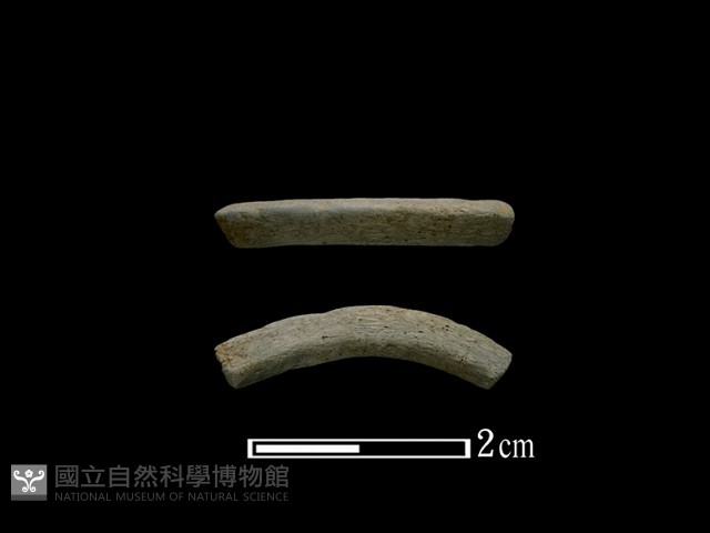 陶環藏品圖，第1張