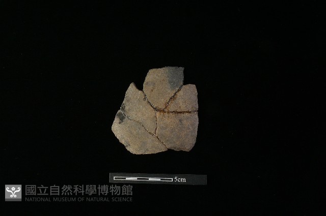 陶片藏品圖，第2張