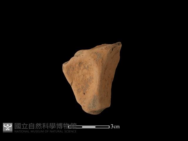 連杯形器藏品圖，第1張