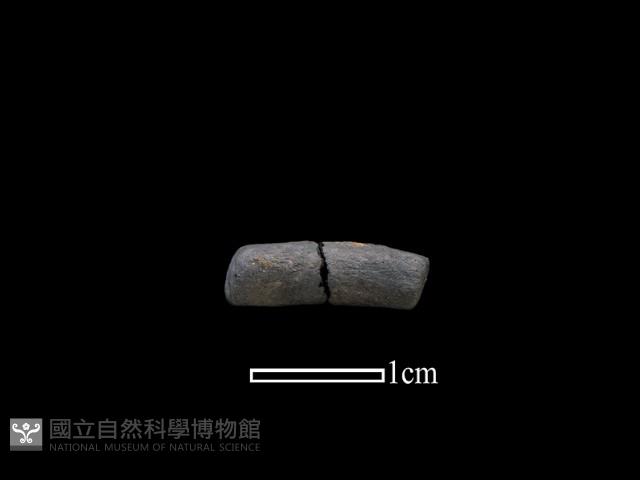 陶環藏品圖，第1張