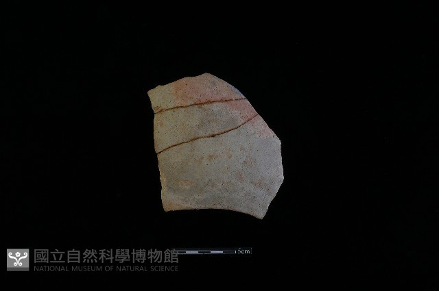 陶片藏品圖，第2張