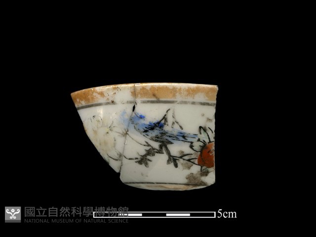 瓷片藏品圖，第1張