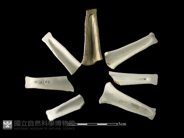 湯匙藏品圖，第1張