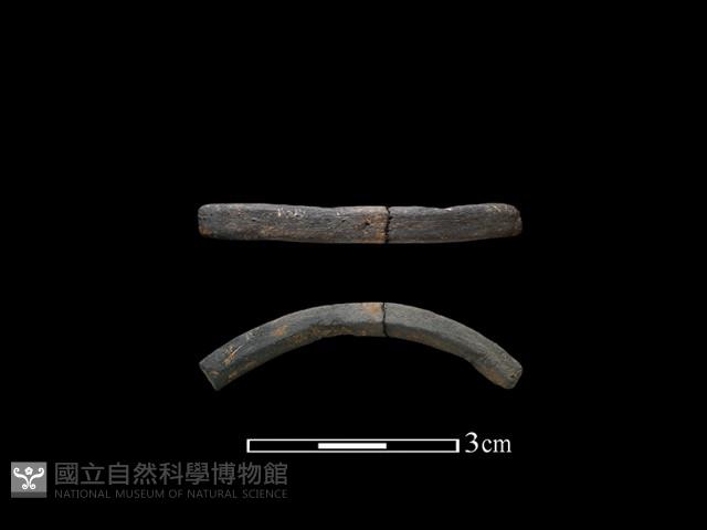 陶環藏品圖，第1張