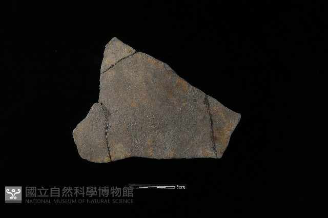 陶片藏品圖，第2張