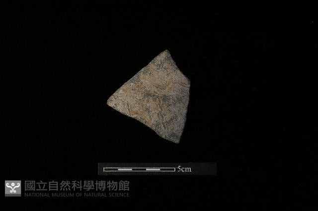 陶片藏品圖，第2張