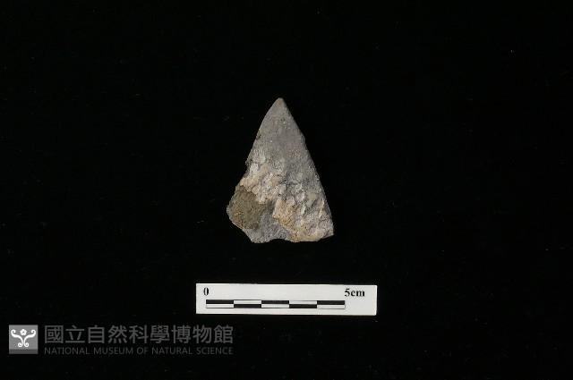 陶器藏品圖，第2張
