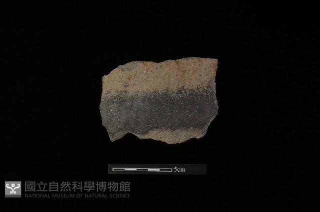 陶片藏品圖，第2張