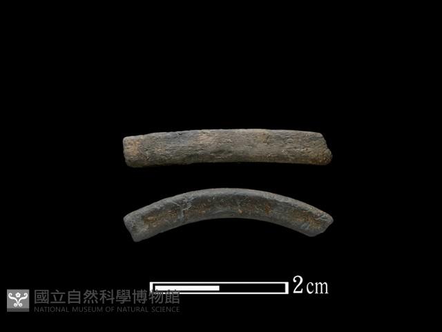 陶環藏品圖，第1張