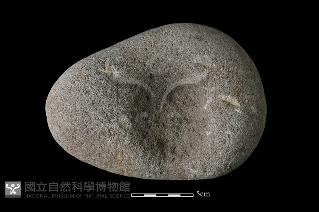 凹石藏品圖，第1張