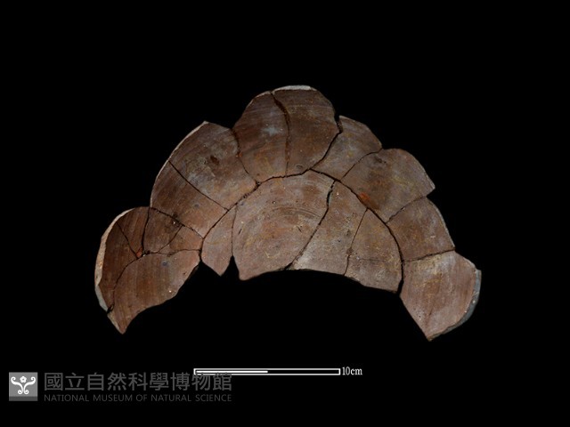 陶缸藏品圖，第2張