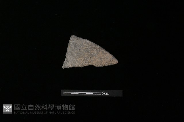 陶片藏品圖，第2張