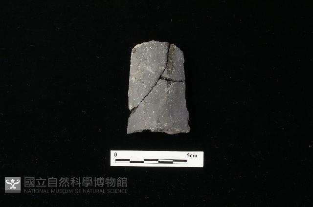 陶器藏品圖，第2張