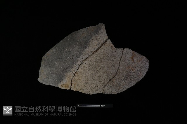 陶片藏品圖，第2張