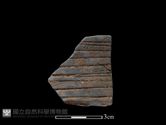 陶片藏品圖，第1張