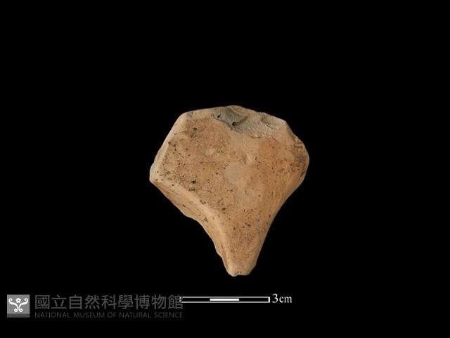 連杯形器藏品圖，第2張