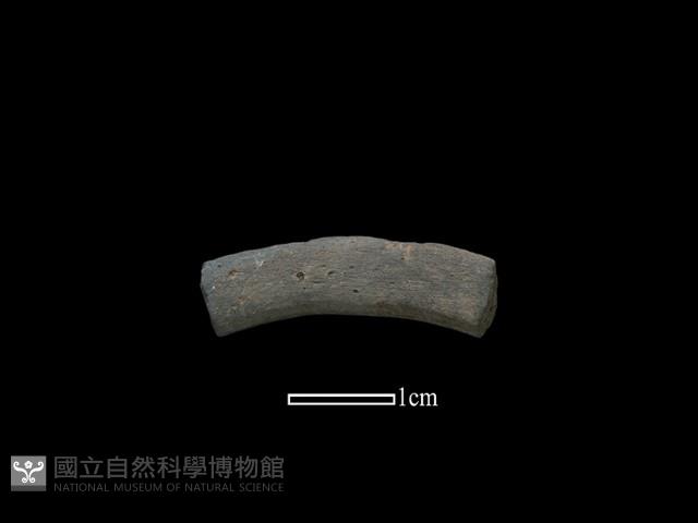 陶環藏品圖，第1張