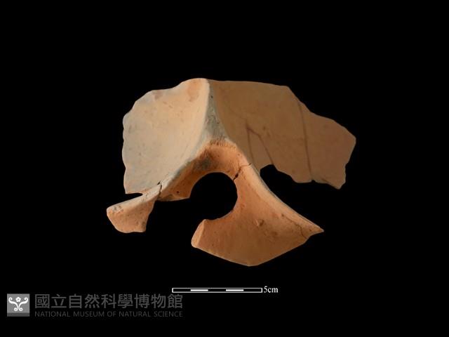 連杯形器藏品圖，第4張