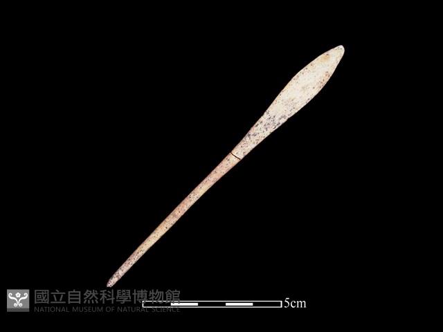 骨針藏品圖，第2張