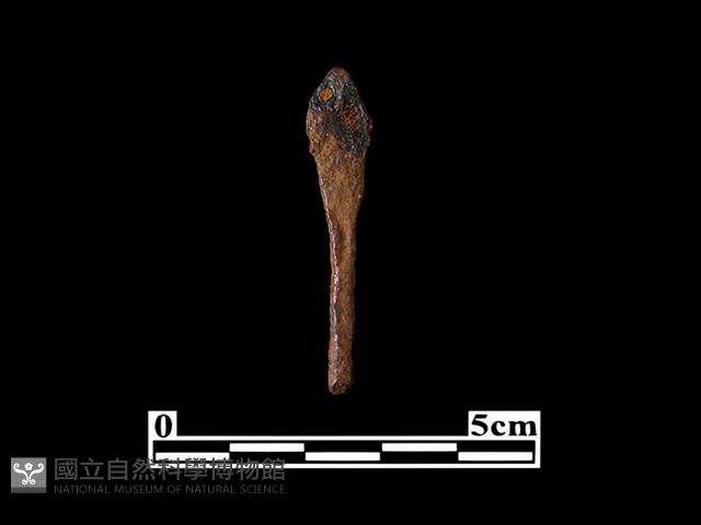 箭頭藏品圖，第2張