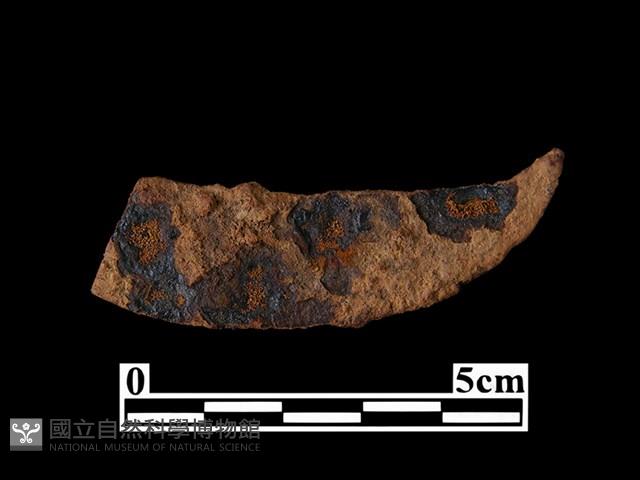 鐵刀藏品圖，第2張