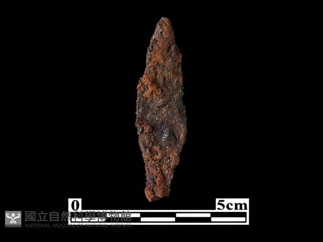 箭頭藏品圖，第2張