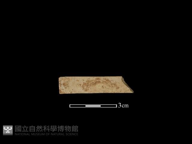 骨器藏品圖，第2張