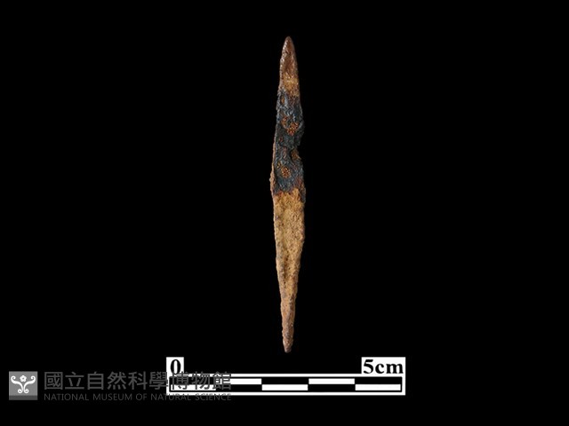箭頭藏品圖，第2張